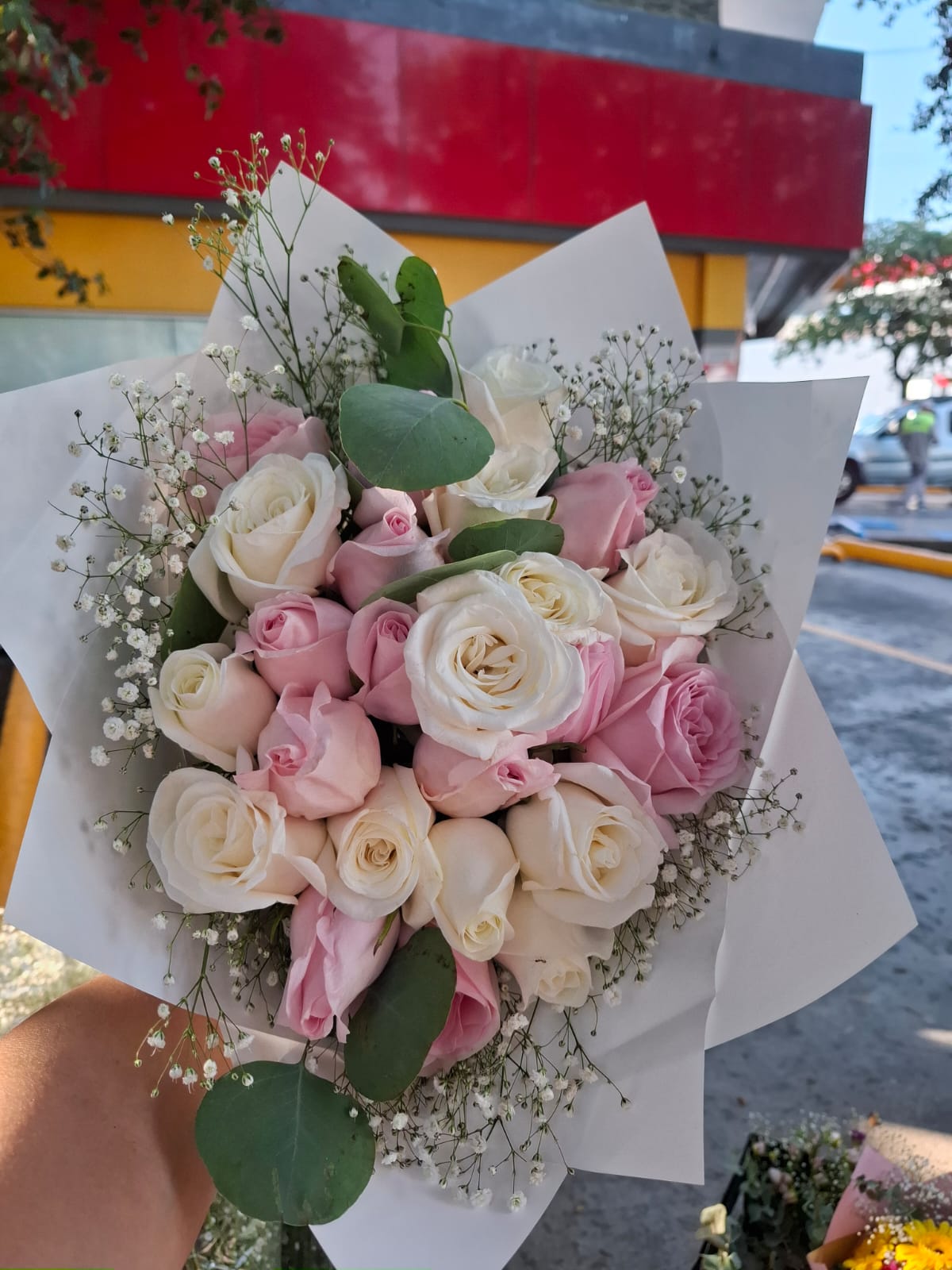 Rosas blancas