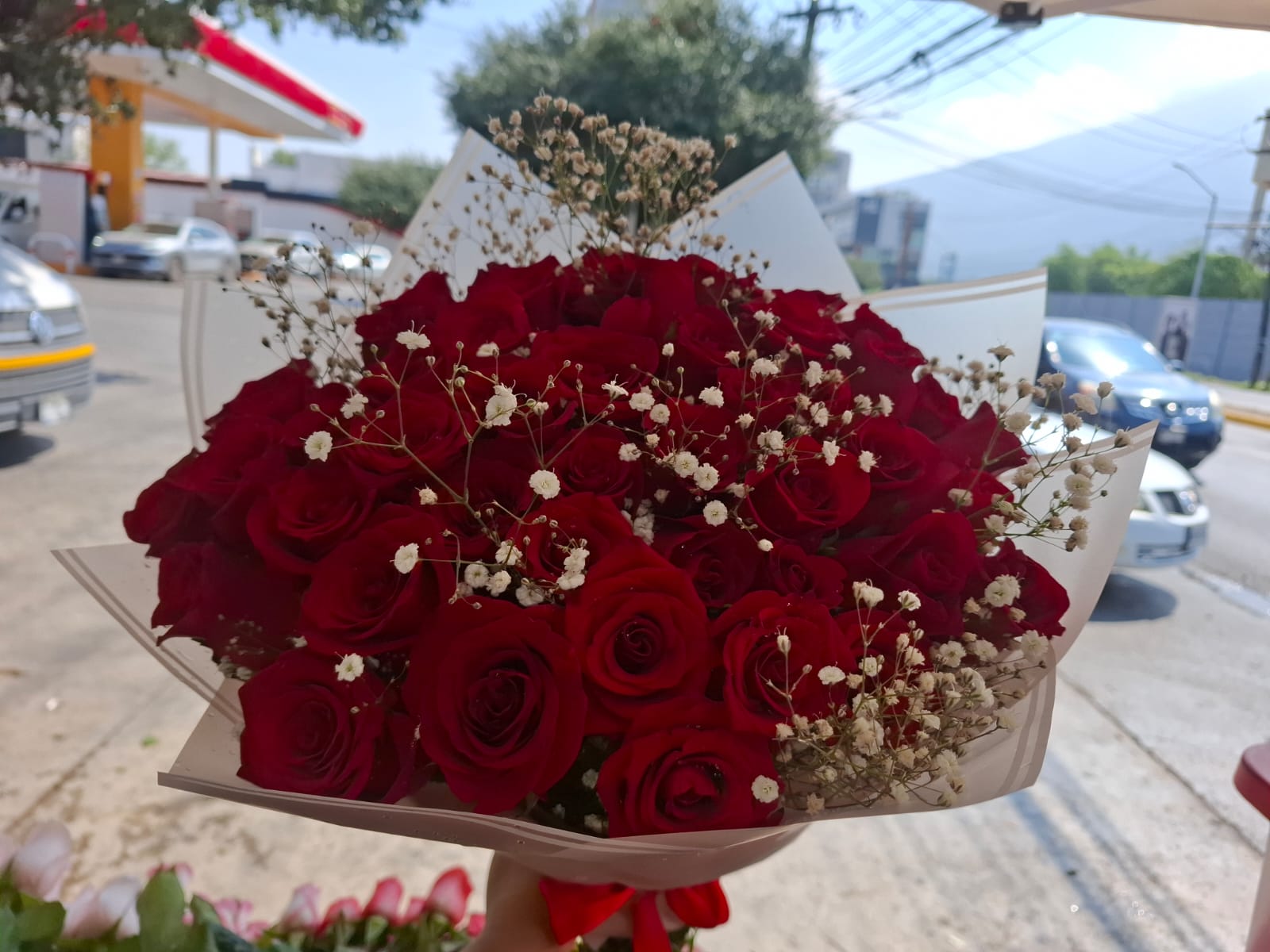 Rosas rojas